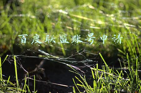 百度账号申请注册(百度申请注册不挂科商标)