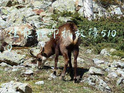 佳能打印机故障5100怎么修(新一代入门单反 佳能700D套机售5100元)