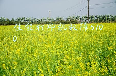 佳能打印机故障灯闪烁5下(惠普、佳能、三星打印机经典故障解决方法，一定要看看)