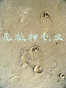 个人 无抵押 贷款(无抵押个人贷款最多能贷多少)
