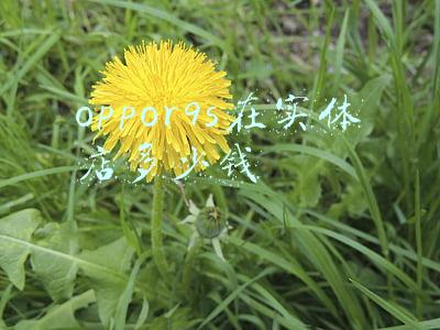 现在oppor9在实体店大约多少钱，oppor9手机在实体店多少钱