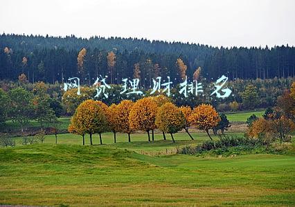 网贷理财投资(干货投资指南：银行、基金、信托及P2P理财深度对比)