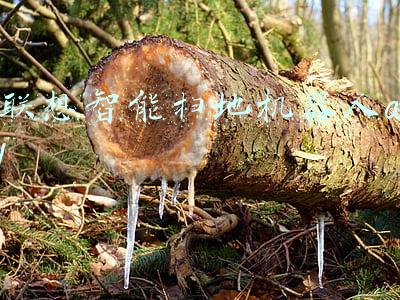 扫地机器人 智能(智能扫地擦地机器人品牌排行，哪家产品位居前列？)