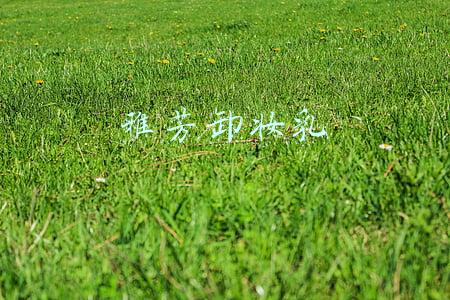 雅芳卸妆乳怎么用(彻底讲透防晒霜,隔离霜,妆前乳和饰底乳的区别及使用顺序)