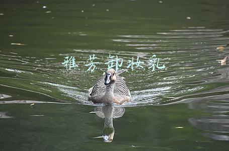 雅芳卸妆乳怎么样(国货化妆品的“蝶变”之路)