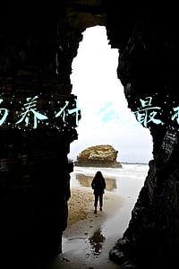 牧场赚钱吗(梦幻西游玩家分享15年牧场赚钱经验，不能再过错了)