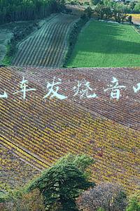 汽车发烧音响