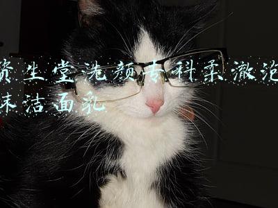 资生堂洗颜专科柔澈泡沫洁面乳