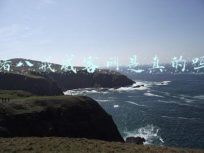 猪八戒威客网官网首页(威客猪八戒网已走向没落)