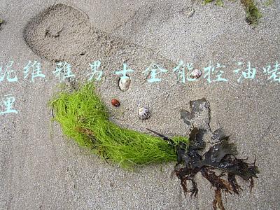 妮维雅男士全能控油啫喱