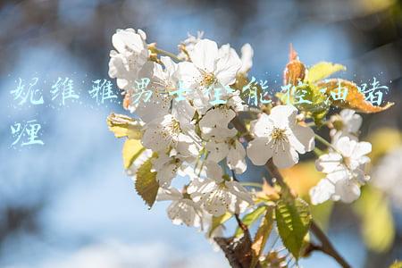 妮维雅男士全能控油啫喱