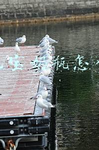 爱乐宝奶瓶怎么样(不光是为了好看 葫芦形的奶瓶好处多！)