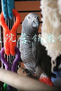 医院营销方案案例范文(民营医院营销策划方案)