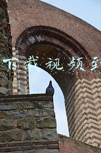 怎么下载视频到mp4