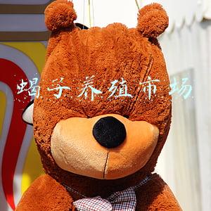 蝎子养殖市场