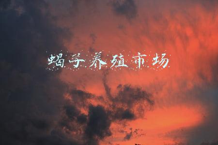 蝎子养殖市场