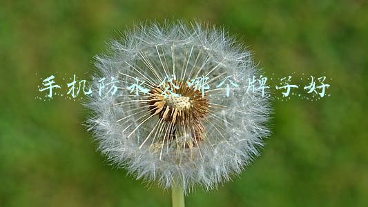 手机防水袋哪个牌子好