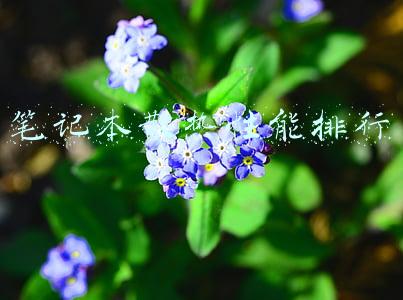 笔记本散热性能排行