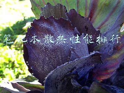 笔记本散热性能排行