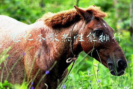 笔记本散热性能排行