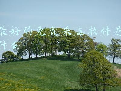 最好的免费杀毒软件是什么