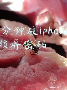 1分钟破iphone锁屏密码