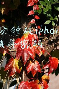1分钟破iphone锁屏密码