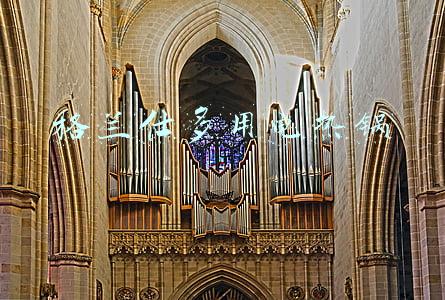 格兰仕多用电热锅