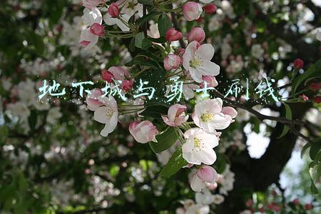 地下城与勇士刷钱