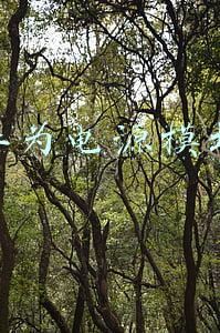华为电源模块