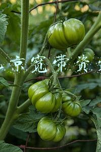 北京宽带资费