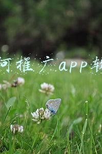 如何做app软件(软件是怎么开发出来的？怎么进行软件开发流程详解)