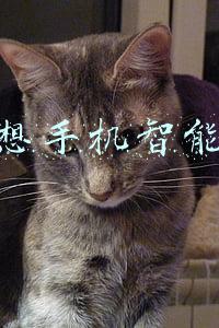 联想手机智能机