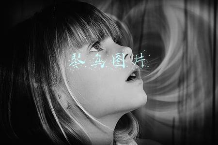 琴鸟图片