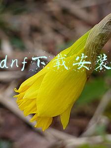 DNF下载安装慢(地下城与勇士从入门到入土——萌新大型（骗）入坑指南)