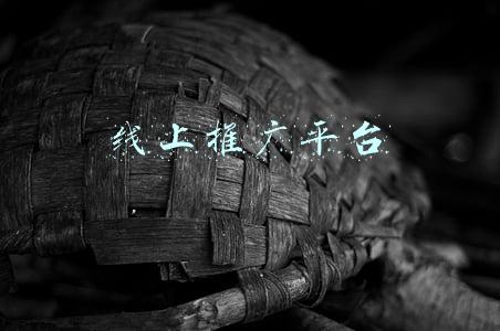 线上推广平台