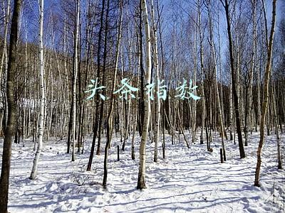 头条指数 头条指数