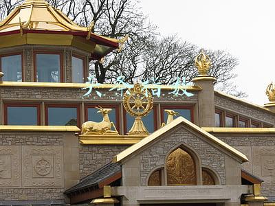 头条指数在哪看(头条指数突变为0，我告诉你在哪里看头条指数)