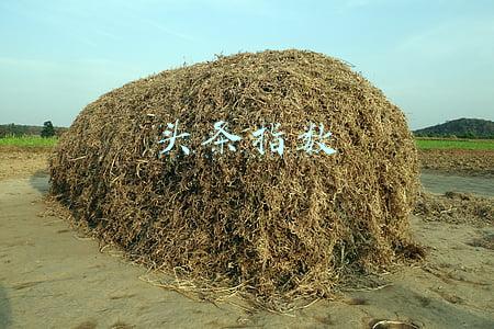 头条指数大数据分析平台(今日头条数据分析的网站)