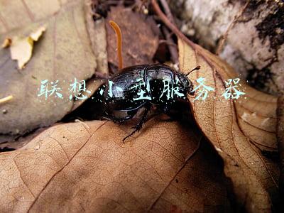 联想小型服务器