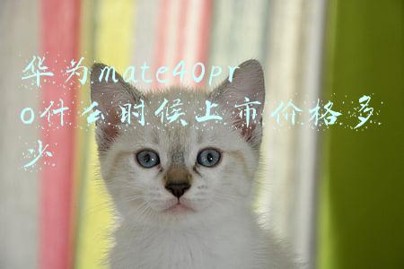 mate40pro价格什么时候公布(国行开售，4999元起，华为Mate40 Pro体验到底怎么样？)