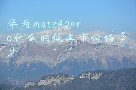 华为mate40pro售价预计是多少(华为Mate 40 Pro最新售价公布，跌至4794元，不考虑苹果了)