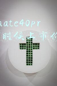 华为mate40pro什么时候上市价格多少