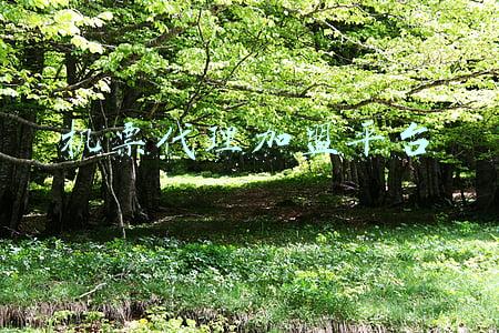 机票代理加盟平台 机票代理加盟平台