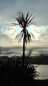 网络电视怎么看电视台节目 网络电视怎么看电视台节目