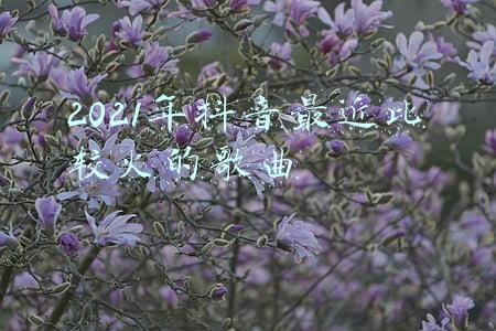2021年最近比较火的歌曲(2021年爆火的50首歌，哪首是你的单曲循环？)
