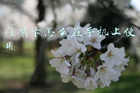 门禁卡怎么在手机上使用苹果手机(「教程贴」iPhone手机公交卡改门禁卡让物业授权)