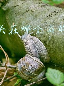 山海关在哪个省的什么位置