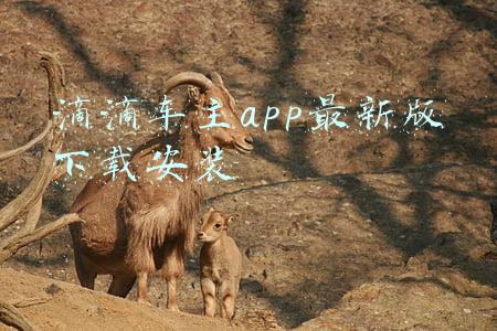 滴滴车主app下载安装(滴滴车主司机端下载，苹果手机怎么下滴滴车主app，在哪里注册)