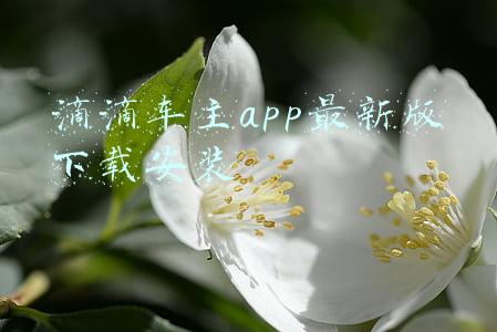 滴滴车主app最新版下载安装